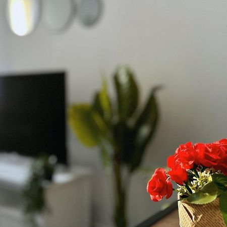 Cosy Palm Beach, Studio Pres De La Mer Et De La Croisette Cannes Eksteriør bilde