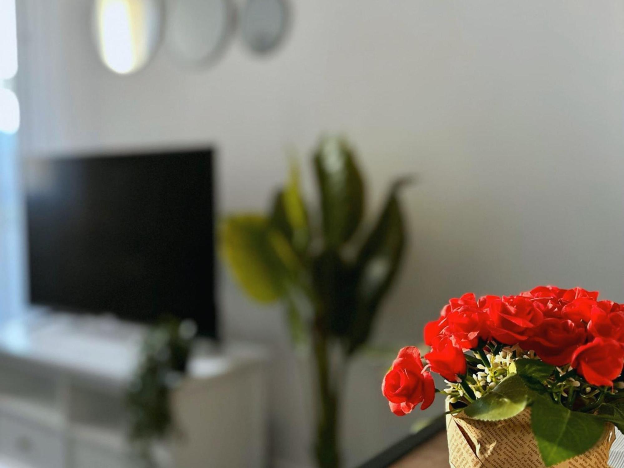 Cosy Palm Beach, Studio Pres De La Mer Et De La Croisette Cannes Eksteriør bilde